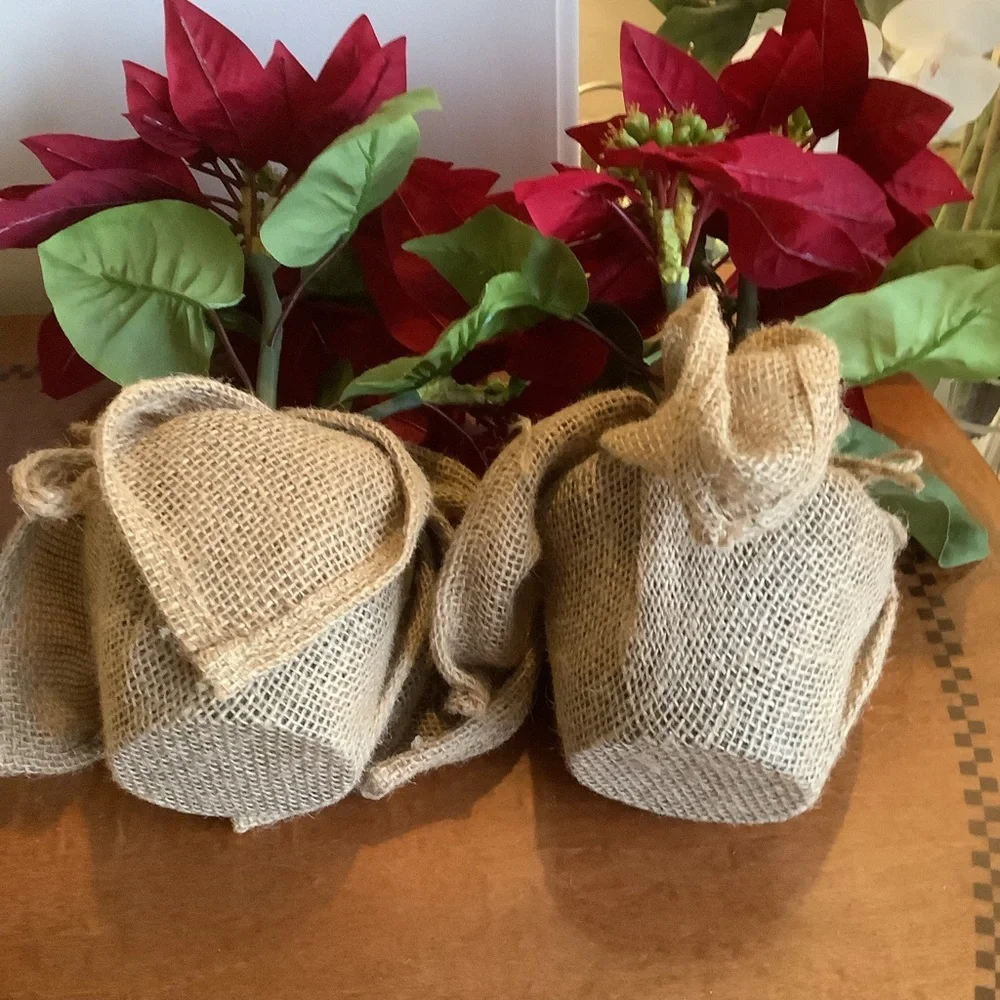 Set of Four Pottery Barn Red Poinsettia Plants